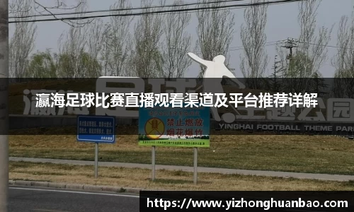瀛海足球比赛直播观看渠道及平台推荐详解